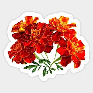 Marigolds - Bouquet of Marigolds Sticker